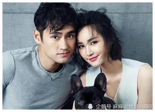 娱乐圈吃瓜明星爆料小说 第2张 娱乐圈吃瓜明星爆料小说 第2张