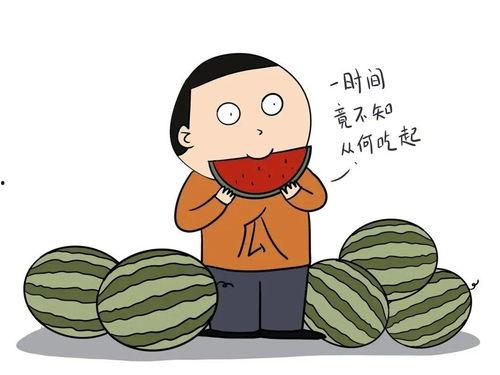 娱乐吃瓜英文怎么说的